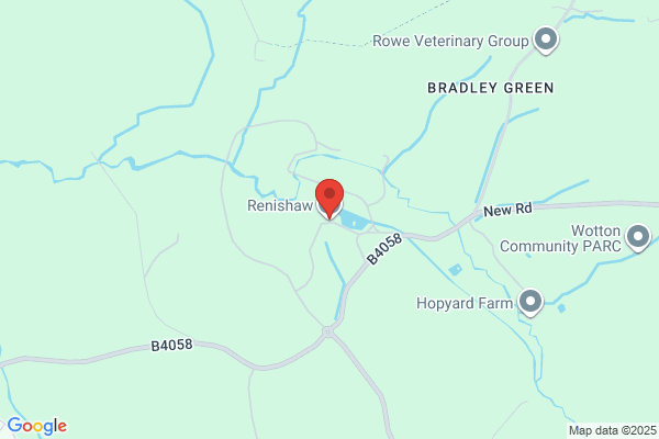 Renishaw PLC