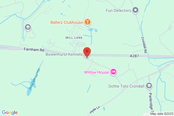 Bowenhurst Kennels & Cattery