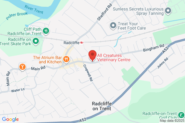 All Creatures Veterinary Centre
