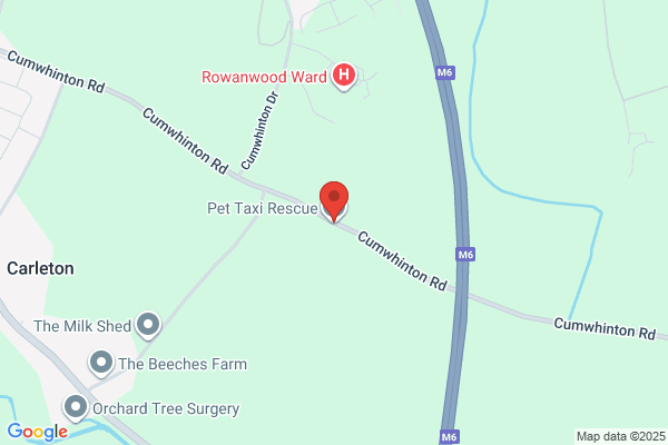 Pet Taxi & Rescue Ltd