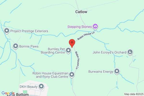 Dr Flue Chimney Sweeps