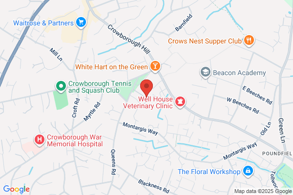 Crowborough Nursery School