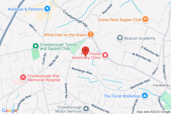St Mary The Virgin C Of E Aided Primary School