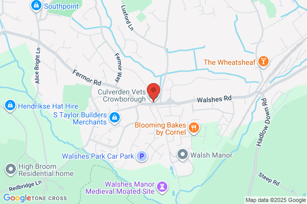 Beechview Veterinary Surgery