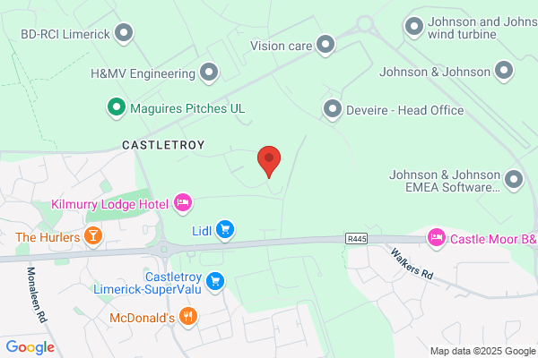 Ashling Microsystems Ltd