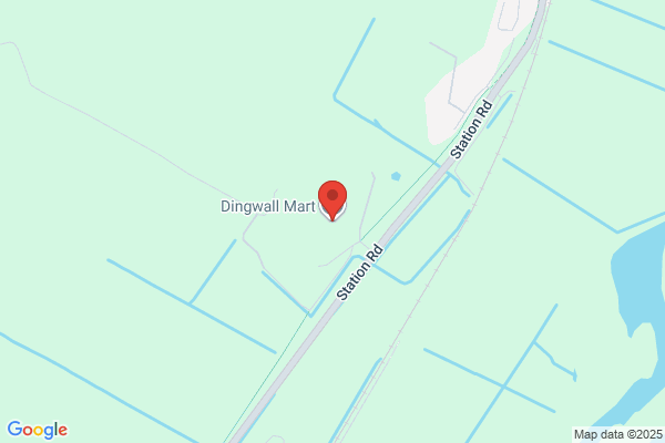 Dingwall Motor Auctions