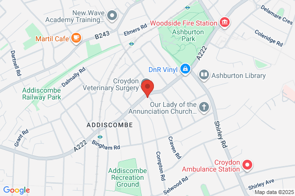 Domino's Pizza - London - Addiscombe