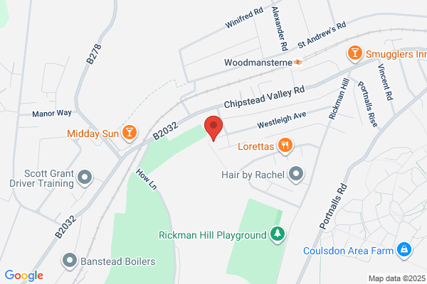 Bromley Wasp Nest Removal