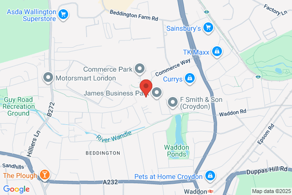 Quercus