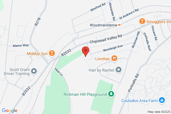 Wasp Nest Removal Bromley