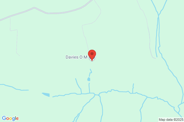D H Davies