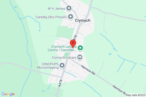 Menter Iaith