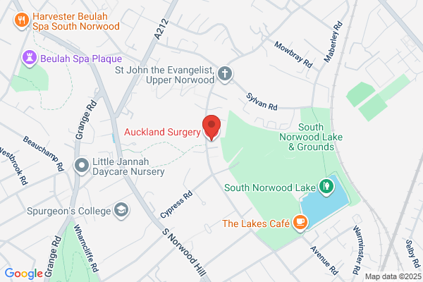 Auckland Surgery