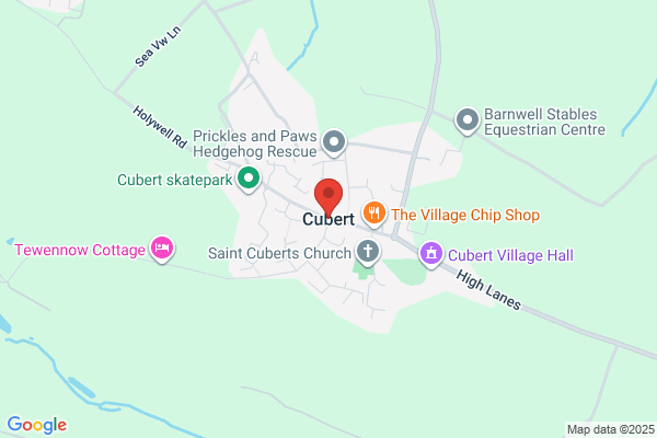 Godfather Pizza