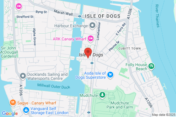 Papa Johns Pizza