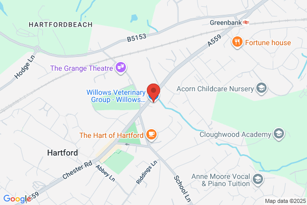 Willows Veterinary Group - Willows Veterinary Hospital