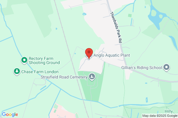Anglo Aquarium Plant Co Ltd