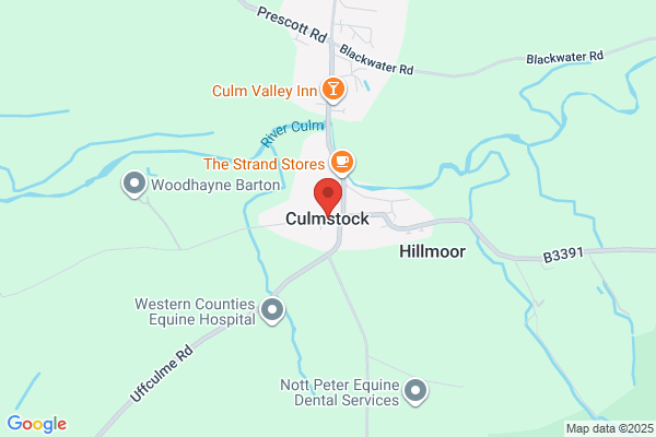 Blackdown Office Support Services