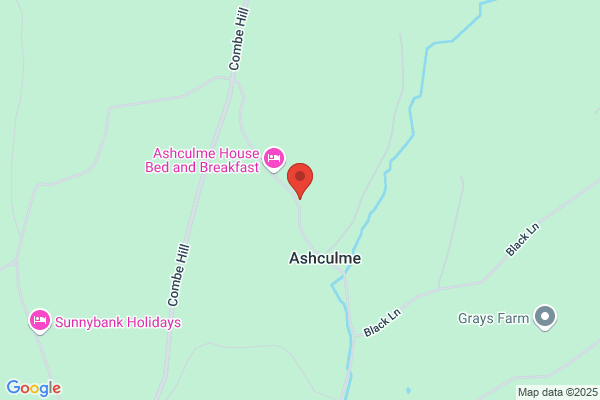 Ashculme Tree Surgeons
