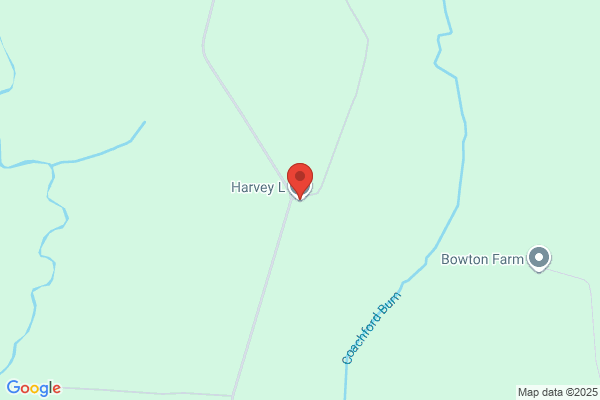 L Harvey