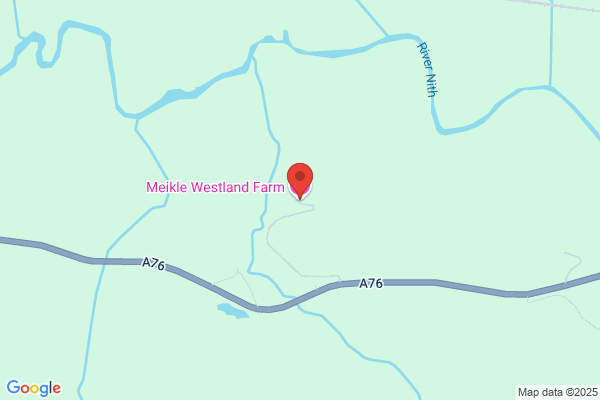 T Meikle
