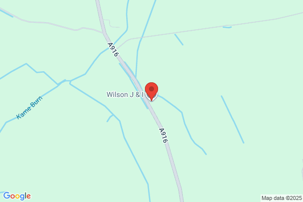 C W Wilson
