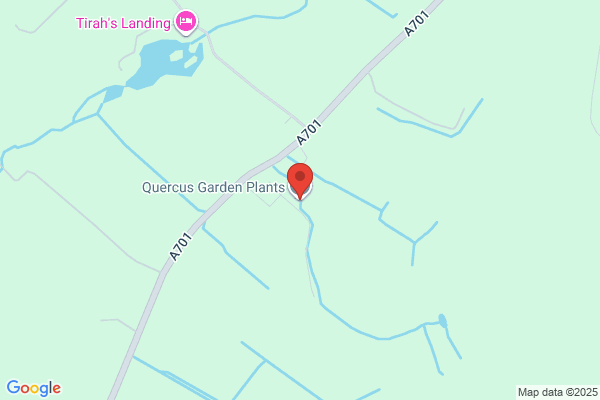 Quercus Garden Plants Ltd