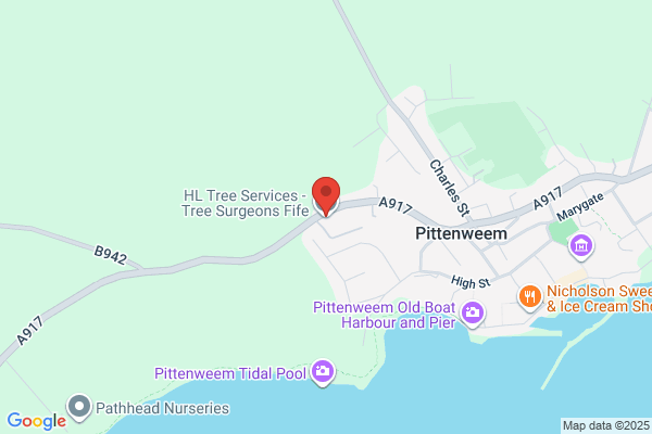 Langton Tree Specialist Ltd
