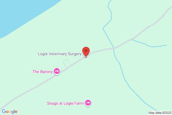 Logie Veterinary Surgery