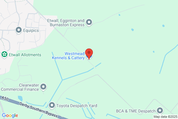 Westmead Kennels & Cattery