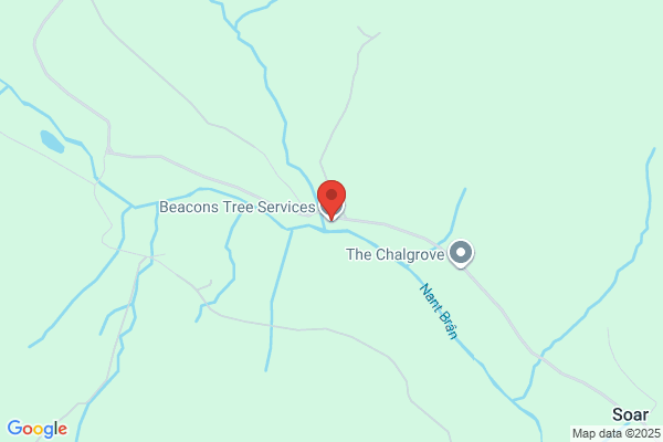 Beacon Tree Services
