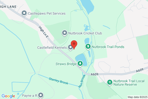 Jamieson Veterinary Group