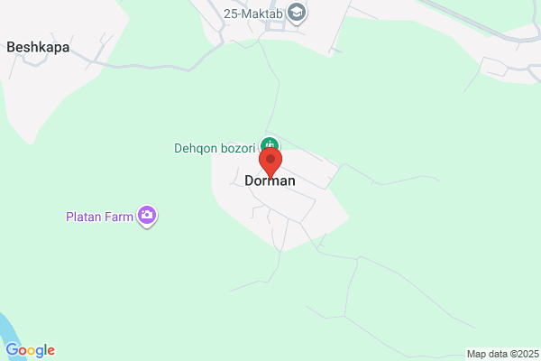 Dorman