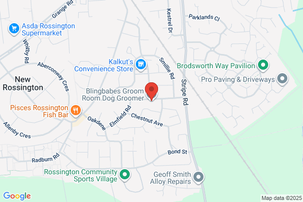 All Dogs Grooming Parlour Ltd