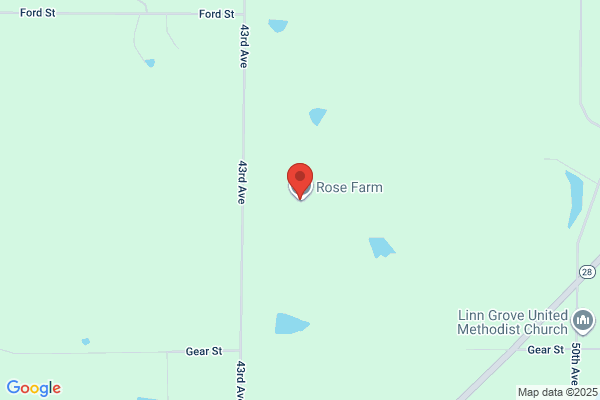 Rose Farm