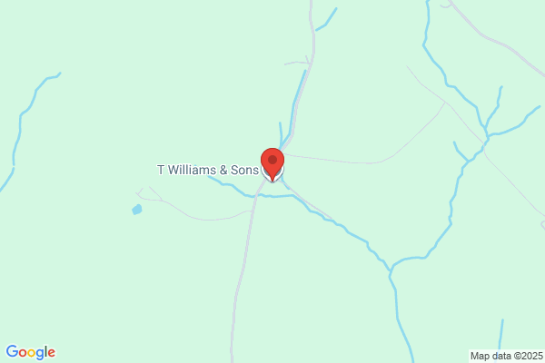 T Williams
