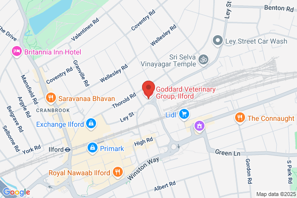 Goddard Veterinary Group, Ilford