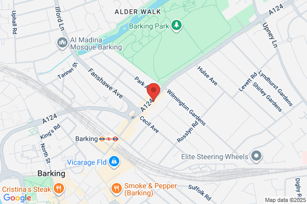 The Barking Physical Therapy Centre