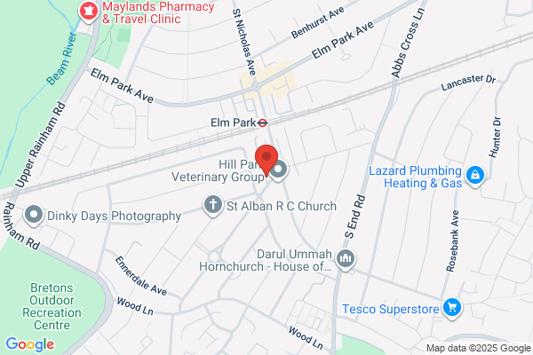 Elm Park Delight