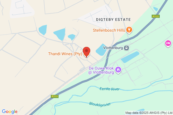 Thandi Wines