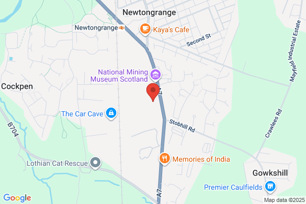 Mitchell Dey Norton Ltd