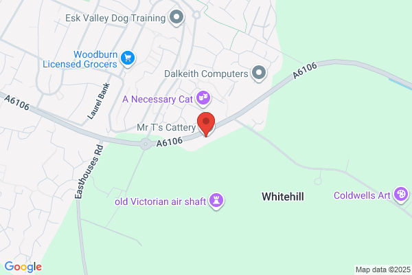 Dalkeith Cats Hotel
