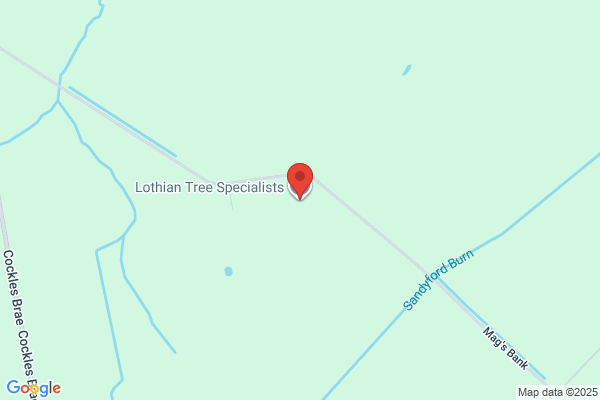 Lothian Tree & Timber