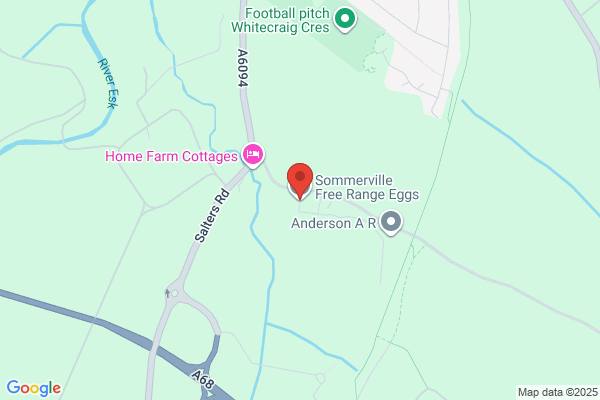 Sommerville Free Range Eggs