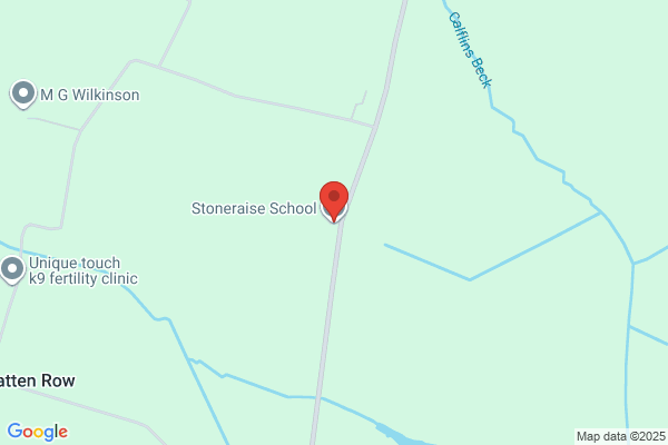 Stoneraise School