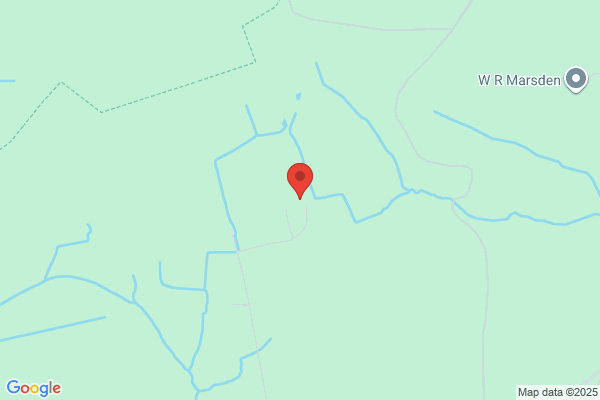Dutton Dogs