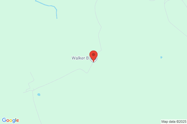 L Walker