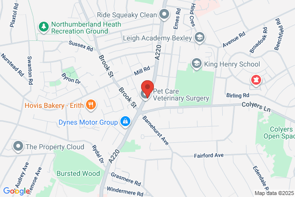 Willow Independent Funeral Services Ltd