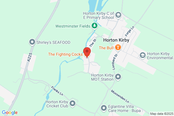 Fighting Cocks