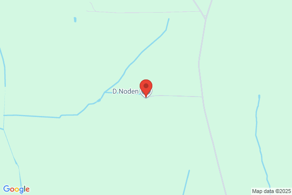 D Noden